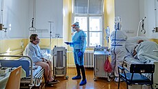 Pacienti s onemocněním covid-19 na III. Interní klinice Všeobecné fakultní... Pacienti s onemocněním covid-19 na III. Interní klinice Všeobecné fakultní...