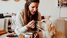 Možná váš pes miluje ovoce podobně jako vy, nebo cokoliv jiného zdravého.... Možná váš pes miluje ovoce podobně jako vy, nebo cokoliv jiného zdravého....