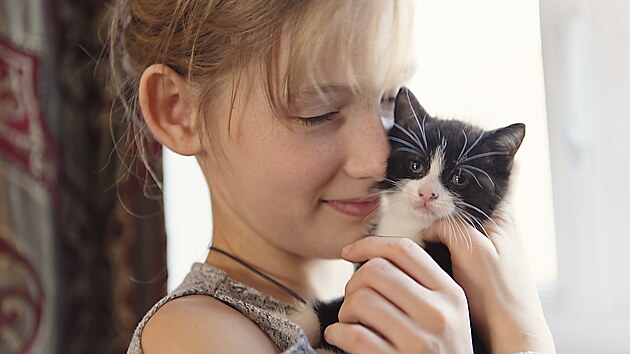 Kotě i dospělou kočku (stejně jako štěně a pak i dospělého psa), je třeba pravidelně odčervovat a chodit s nimi na očkování. 