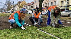 Pokládka travních koberc v Blohorské ulici. (11. listopadu 2021)