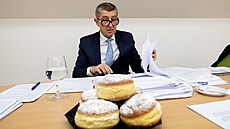 Premiér Andrej Babiš poprvé navštívil svou poslaneckou kancelář v Roudnici nad... Premiér Andrej Babiš poprvé navštívil svou poslaneckou kancelář v Roudnici nad...