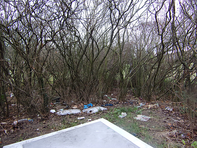 <p>V blízkosti hřbitova jsou krásné kupky shrabaného listí, ale jen o deset metrů dále je v křoví je plno smetí.</p>