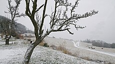 Více než padesát rodinných domů má v příštích letech vyrůst na Slunečné pláni v... Více než padesát rodinných domů má v příštích letech vyrůst na Slunečné pláni v...