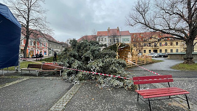 Ve Slaném se pod náporem větru zlomil vánoční strom na náměstí (30 .11. 2021)