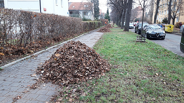 <p>Úklid listí na Sídlišti Solidarita v Praze 10 - Strašnicích.</p>