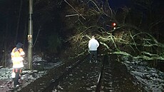 Na koleje spadl strom a poškodil trakční vedení. Provoz na trati z Benešova do... Na koleje spadl strom a poškodil trakční vedení. Provoz na trati z Benešova do...
