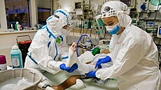 Nejen v brněnských nemocnicích je kvůli vysokému počtu pacientů s covidem-19... Nejen v brněnských nemocnicích je kvůli vysokému počtu pacientů s covidem-19...