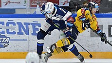 Lubo Jenáek, trenér hokejist Zlína