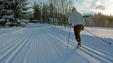 umava - Perfektn upravená stopa nedaleko Horské Kvildy