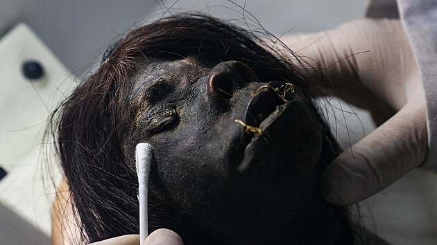 Turet specialist zkoumaj scvrkl hlavy, kter se objevily mezi zadrenmi paovmi artefakty. Zejm pat amazonskmu kmenu Jvaro. (18. prosince 2021)