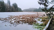 Bývalá klauza Huský rybník leí v ln Novohradských hor.