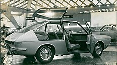 Základem konceptu Vanessa se stal Fiat 850 v provedení se samoinnou spojkou.