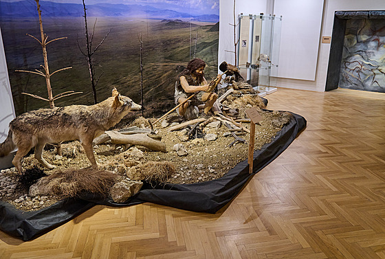 Z výstavy Náhrdelník asu v Muzeu Kromíska (únor 2022)