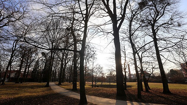 V Přerově a jeho místních částech bude nutné kvůli špatnému stavu pokácet stovky stromů. Největší problém je v místech, kde jsou stromy nejstarší, například v parku Michalov (na snímku).