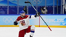 Olympijský turnaj v ledním hokeji. esko - výcarsko. ech Luká Klok slaví...