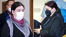 Lucie Skořená (vpravo) a Martina Skočilová u Okresního soudu v Rokycanech.... Lucie Skořená (vpravo) a Martina Skočilová u Okresního soudu v Rokycanech....