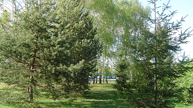 Stromy a kee v parku kolem ulice Otakara Jeremie v Ostrav v mstech, kde m bt parkovit.
