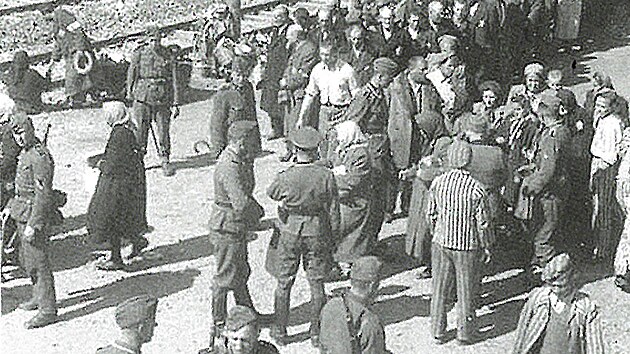 Selekce id po pjezdu do Osvtimi v roce 1944.