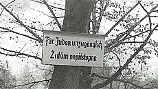 Zákaz vstupu idm do parku v Luánkách v Brn.