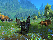 World of Warcraft Dragonflight World of Warcraft Dragonflight