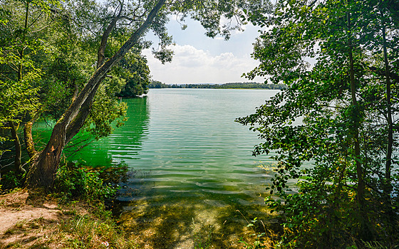 Moravianské jezero láká ke koupeli.