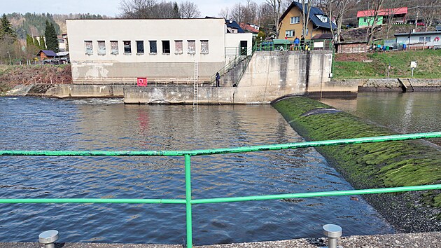 Jez na řece Ohři v Radošově má kvůli diagnostice sníženou hladinu vody. (22. dubna 2022)