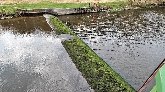 Jez na řece Ohři v Radošově má kvůli diagnostice sníženou hladinu vody. (22. dubna 2022)