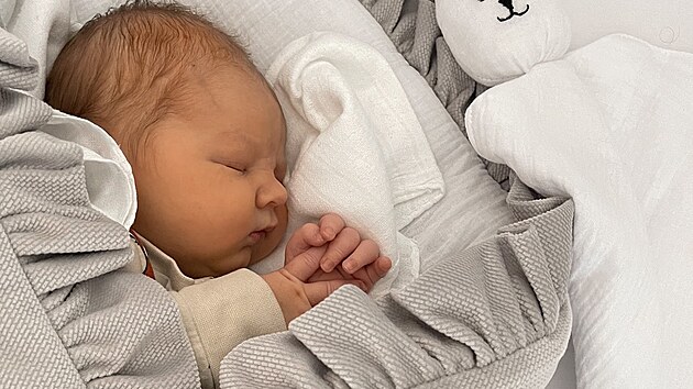 Syn Pavlny Jgrov Maximilian se narodil 16. dubna 2022.