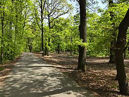 Fotografie pořízená smartphonem Xiaomi 12 Pro