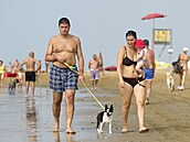 Vzít zvířecího miláčka na dovolenou vyžaduje dodržet určitá pravidla.