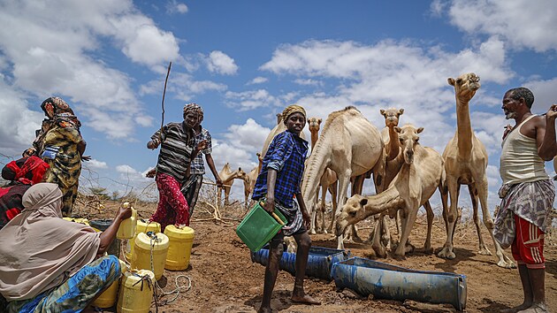 V suchem postienm Somlsku, Etiopii a Keni umr jeden lovk hlady kadch 48 vtein. (12. kvtna 2022)