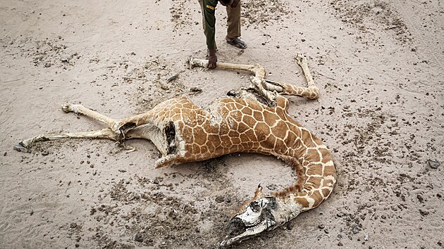 V suchem postienm Somlsku, Etiopii a Keni umr jeden lovk hlady kadch 48 vtein. (12. kvtna 2022)