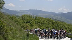 Peloton bhem deváté etapy Giro dItalia.