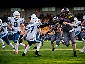 Gladiators se představí v přímém přenosu proti Bratislavě