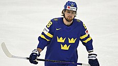 Švédský reprezentant William Nylander. Švédský reprezentant William Nylander.