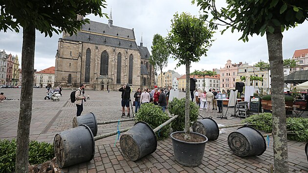 Výsadba stromů do přenosných nádob na plzeňském náměstí Republiky (27. května 2022)