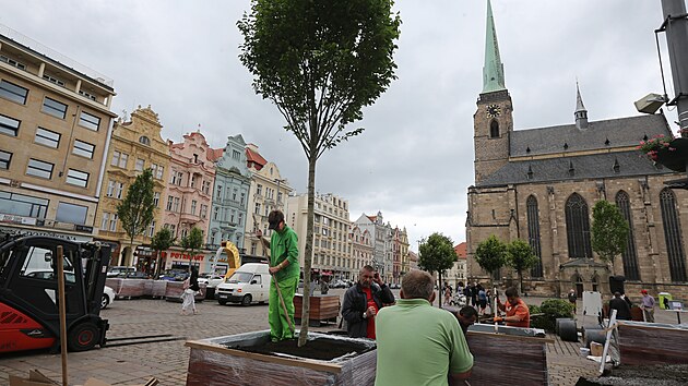 Výsadba stromů do přenosných nádob na plzeňském náměstí Republiky. (27. 5. 2022)