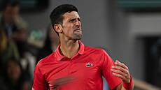 Novak Djokovič Novak Djokovič