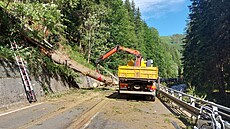 Po pádu stromu na auto v Krkonoších zemřeli tři lidé. Jeden člověk skončil v... Po pádu stromu na auto v Krkonoších zemřeli tři lidé. Jeden člověk skončil v...