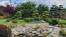 Jezrko by v japonsk zahrad nemlo chybt, prvek vody je dleit.