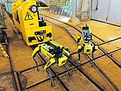 Robopsi nemají problém třeba vyběhnout schody.