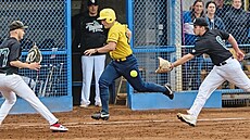 Extraligoví softbalisté Havlíčkova Brodu (v tmavém) si v nadstavbě o účast v... Extraligoví softbalisté Havlíčkova Brodu (v tmavém) si v nadstavbě o účast v...