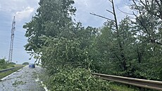 Spadlý strom na vozovce po pondlní bouce na Pardubicku. (20. ervna 2022)