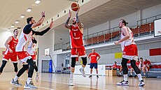 Patrik Auda (uprosted) na tréninku basketbalové reprezentace