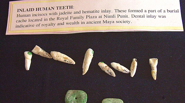 Muzeum v Nim Li Punit v Belize jet uvd, e zdoben zub bylo vyhrazeno krlovskm a bohatm vrstvm. Aktuln studie vak tvrd, e bylo ve spolenosti rozloeno mnohem demokratitji.