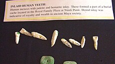 Muzeum v Nim Li Punit v Belize jet uvádí, e zdobení zub bylo vyhrazeno...