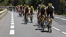 Peloton taený týmem Jumbo Visma bhem 14. etapy Tour de France