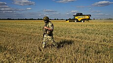 Ruský voják steí oblast, zatímco farmái sklízí penici na poli nedaleko...