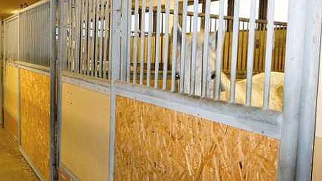 Hebn v Mimoni se prodal za 25,5 milionu, mstn kon patili mezi piku.