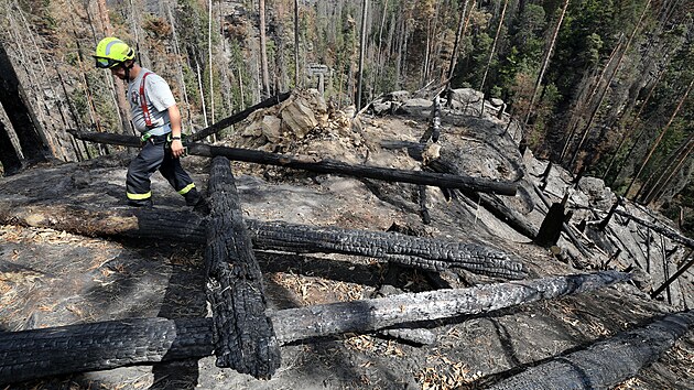 Požár Národního parku České Švýcarsko - shořelý les nad Dlouhým vrchem poblíž obce Růžová na Děčínsku (9. srpna 2022)